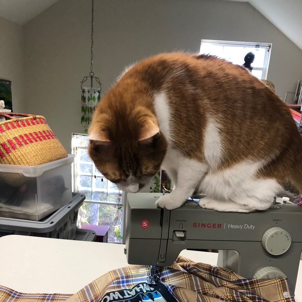 ❤️Meet your Posher, Pamela